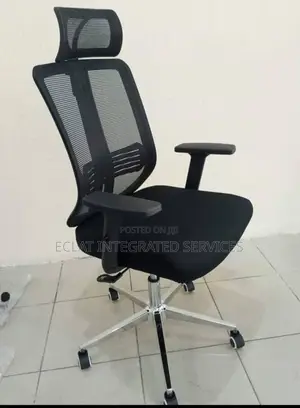 Office Chair for Offices