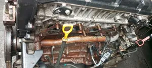 Hyundai Elantra and Hyundai Tucson 2008 Model