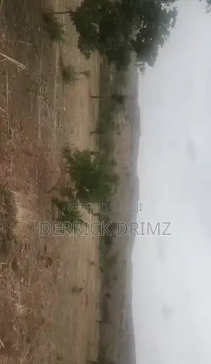 280 Hectares for Sale. Can Be Purchased in Portions (2,800,000 M2). L