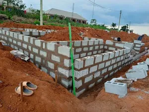 Building Construction and Renovation Expert