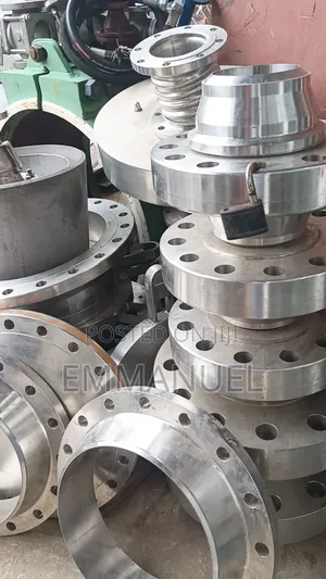 Stainless Flanges