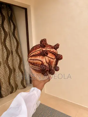 360 Braided Wig