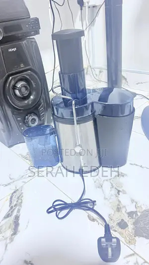 Electric Juicer