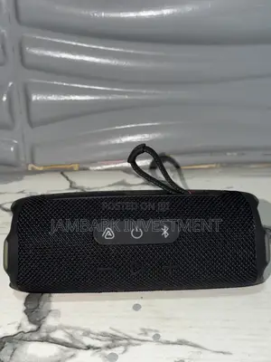 JBL Flip 7 Portable Bluetooth Speaker - Black