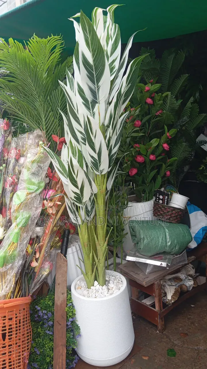 Quality Decorative Followers