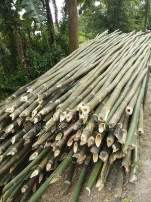Bamboo Poles