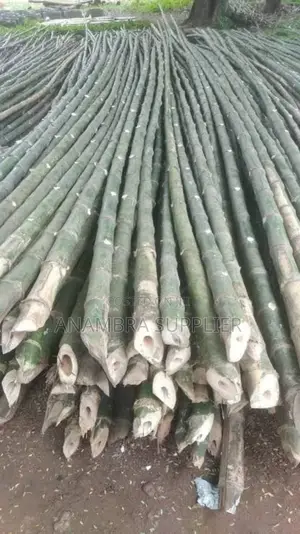 Bamboo Poles