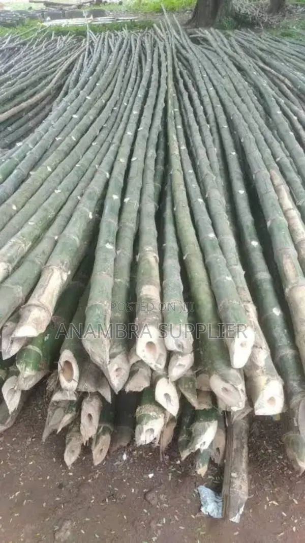 Bamboo Poles