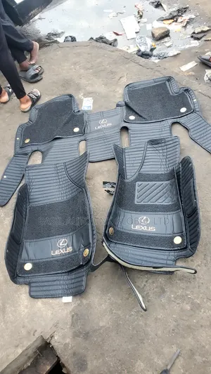 Rx350 2012 Floor Mat Double Layer