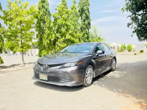 Toyota Camry LE (2.5L 4cyl 8A) 2019 Gray