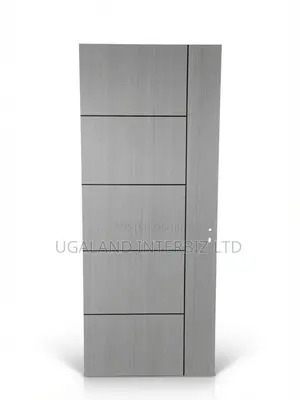 Modern Gray Panel Door