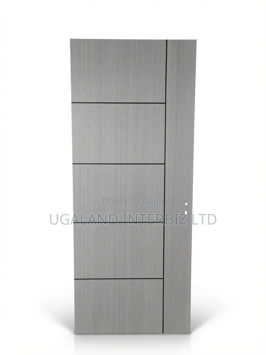 Modern Gray Panel Door