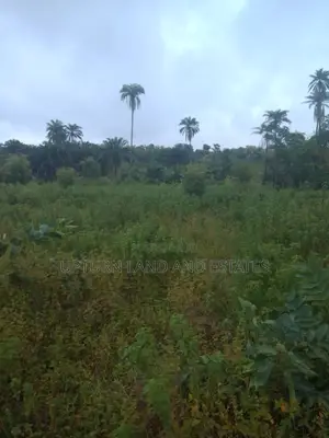 5000 Acres of Land Available for Sale Comes With C of O in Ogun State