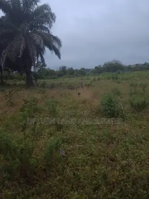 5000 Acres of Land Available for Sale Comes With C of O in Ogun State