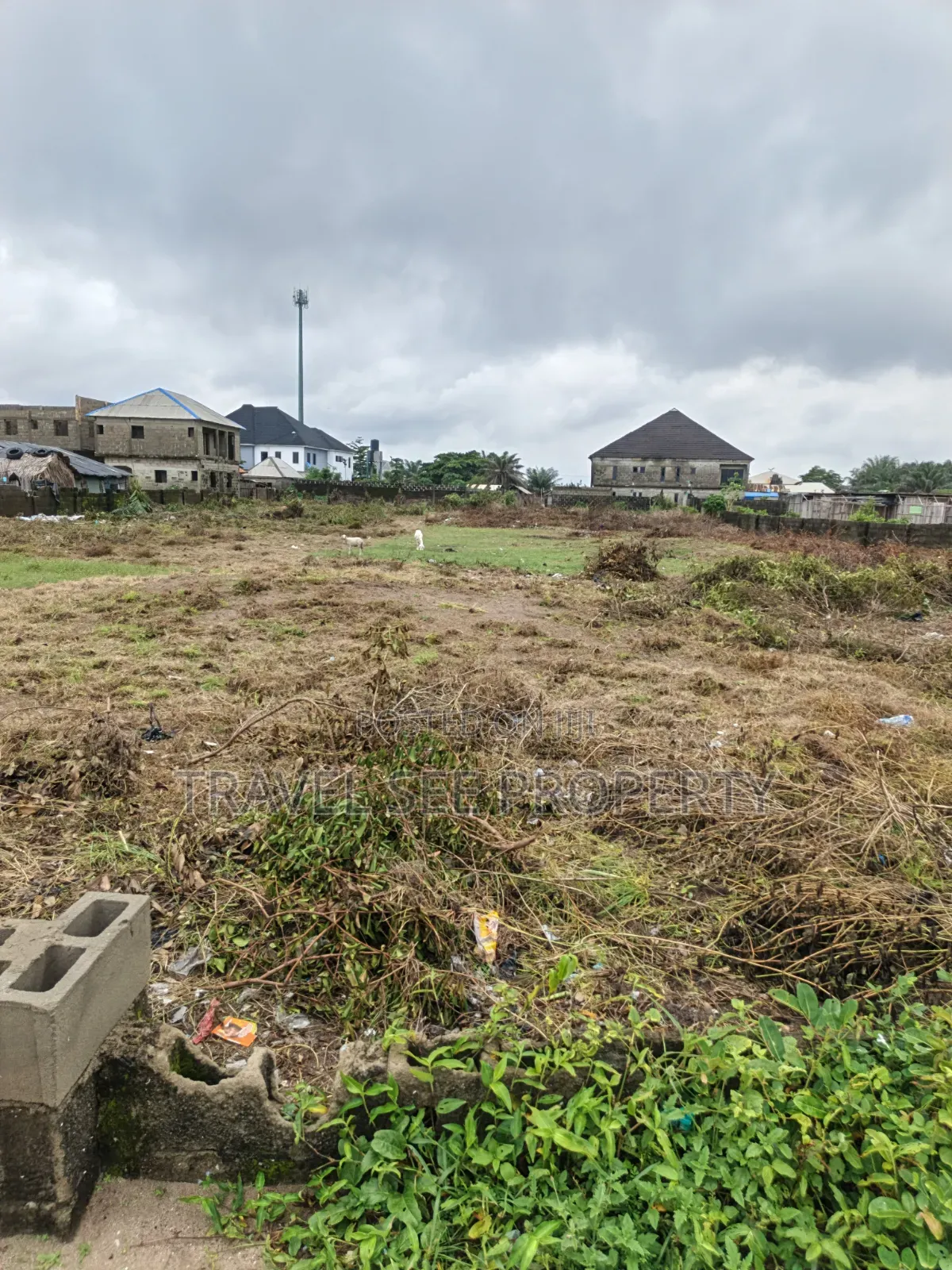 Gazette Survey Beach Front 3 Plots