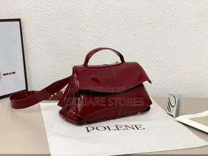 Polene Shining Bag. Available in All Colours