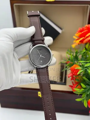 Hermès Paris Heritage Horse Carriage With Premium Leather Strap