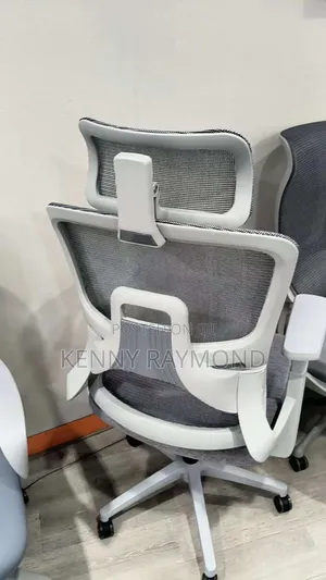 Executive Mesh Ergonomic Office Chair