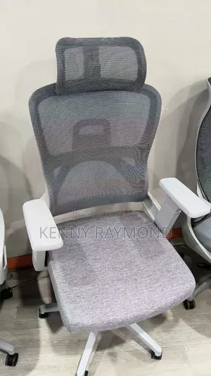 Executive Mesh Ergonomic Office Chair