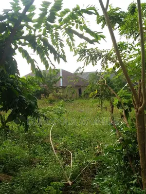 Prime One Plot Residential Land for Sale at Ojimi Area, Apata, Ibadan.