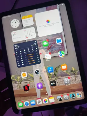 Apple iPad (2025) 256 GB Blue