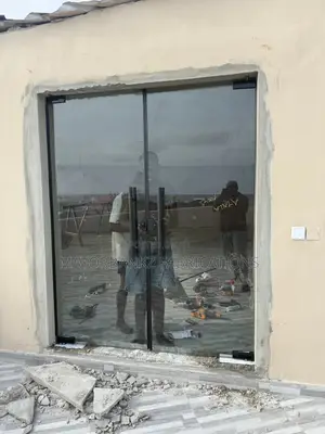 Frameless Swing Door