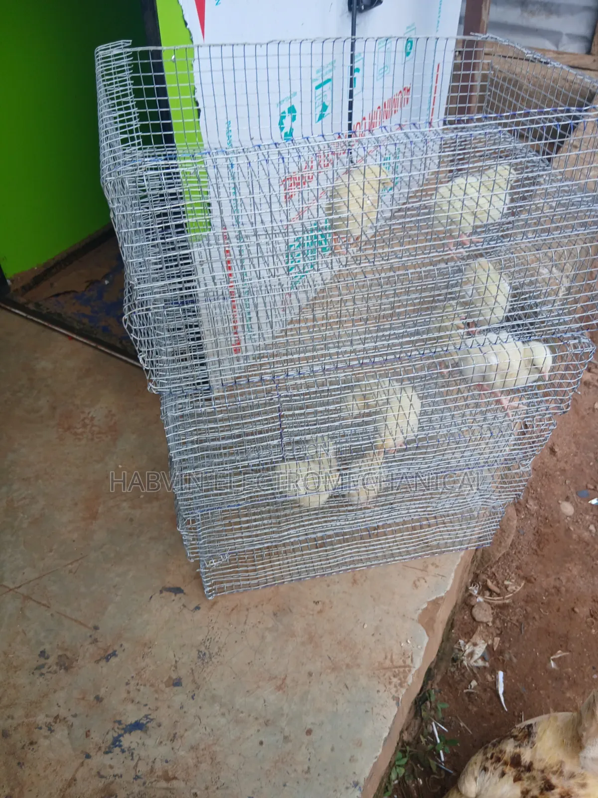 Metal Hatching Basket