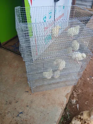 Metal Hatching Basket