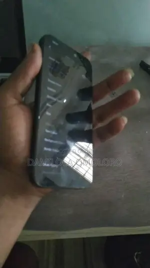 Apple iPhone 15 Pro Max 256 GB Gray