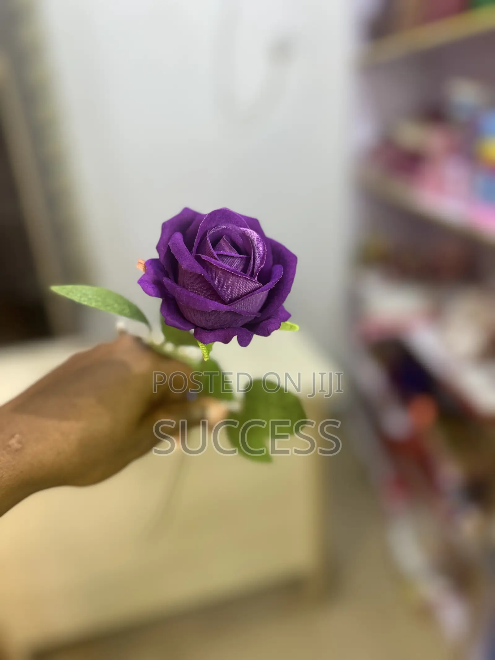 Rose Flowers