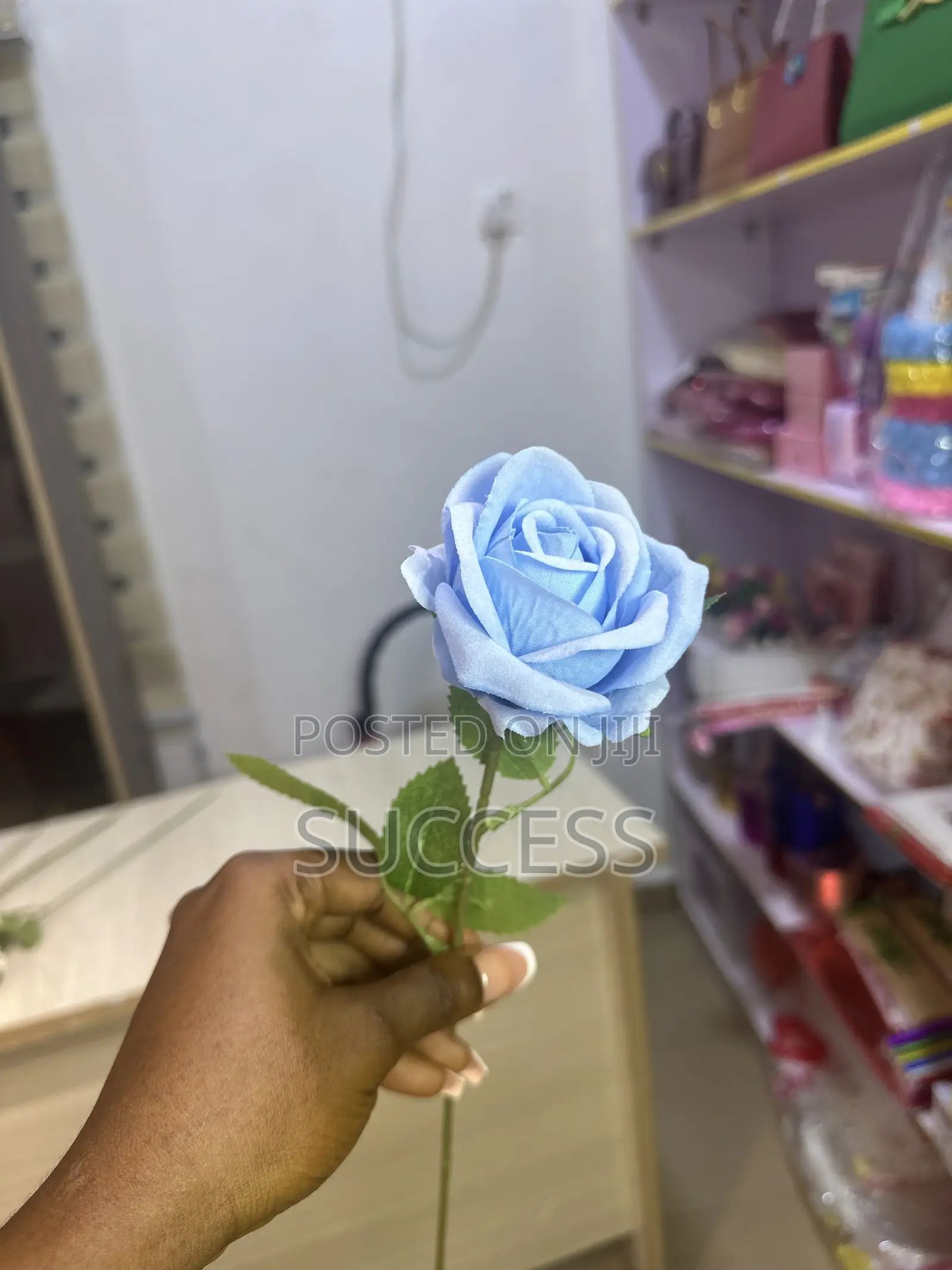 Rose Flowers