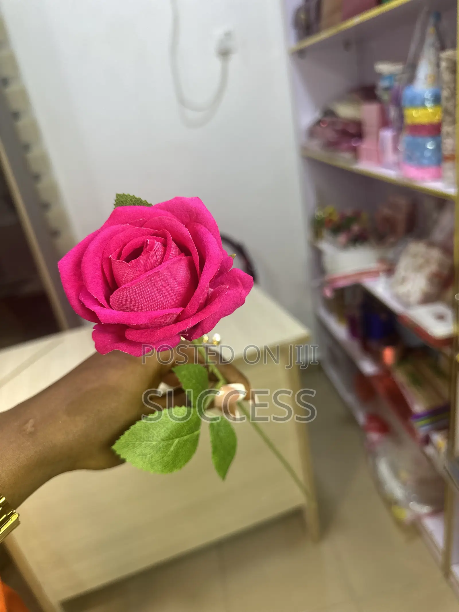 Rose Flowers