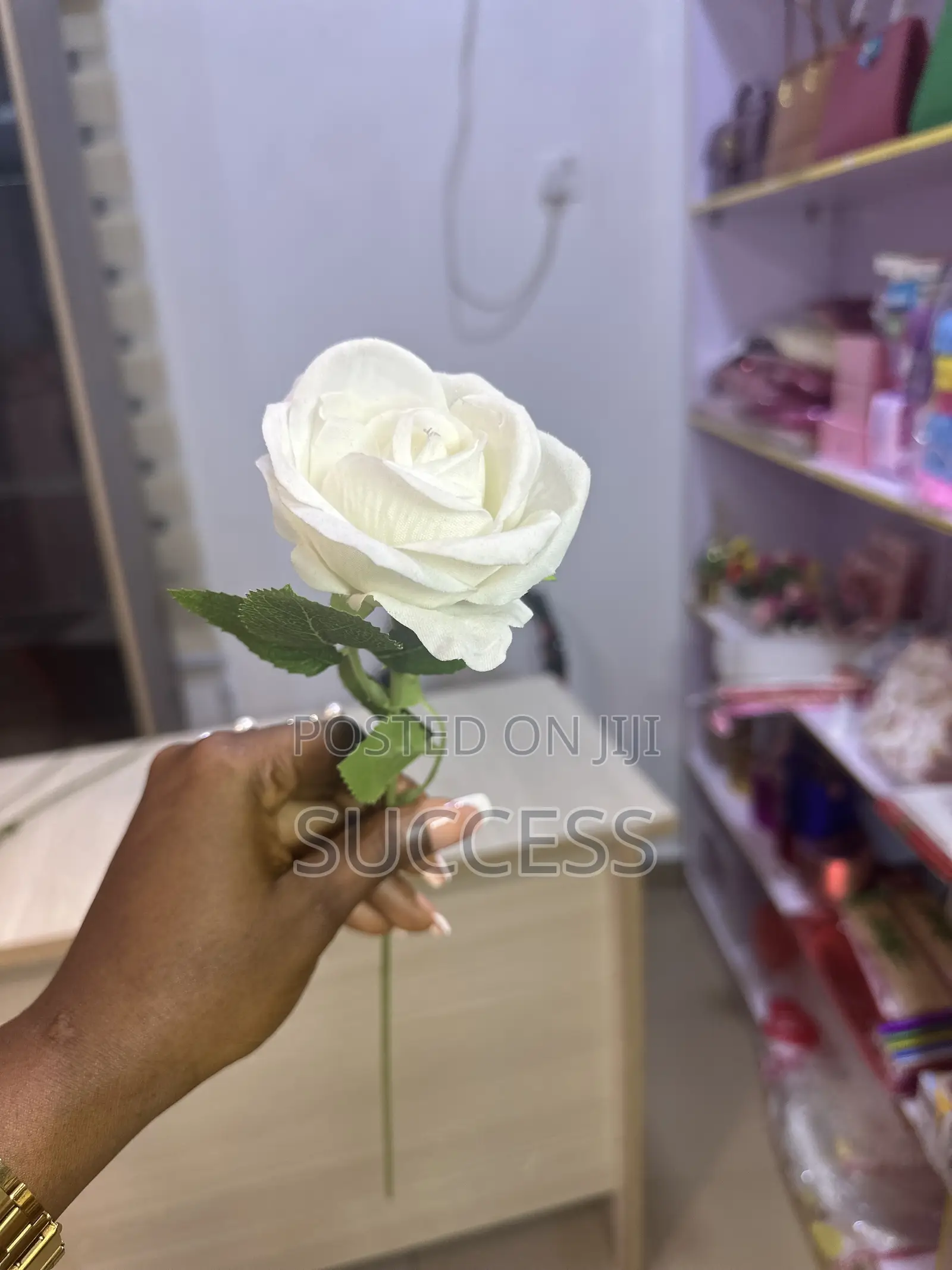 Rose Flowers