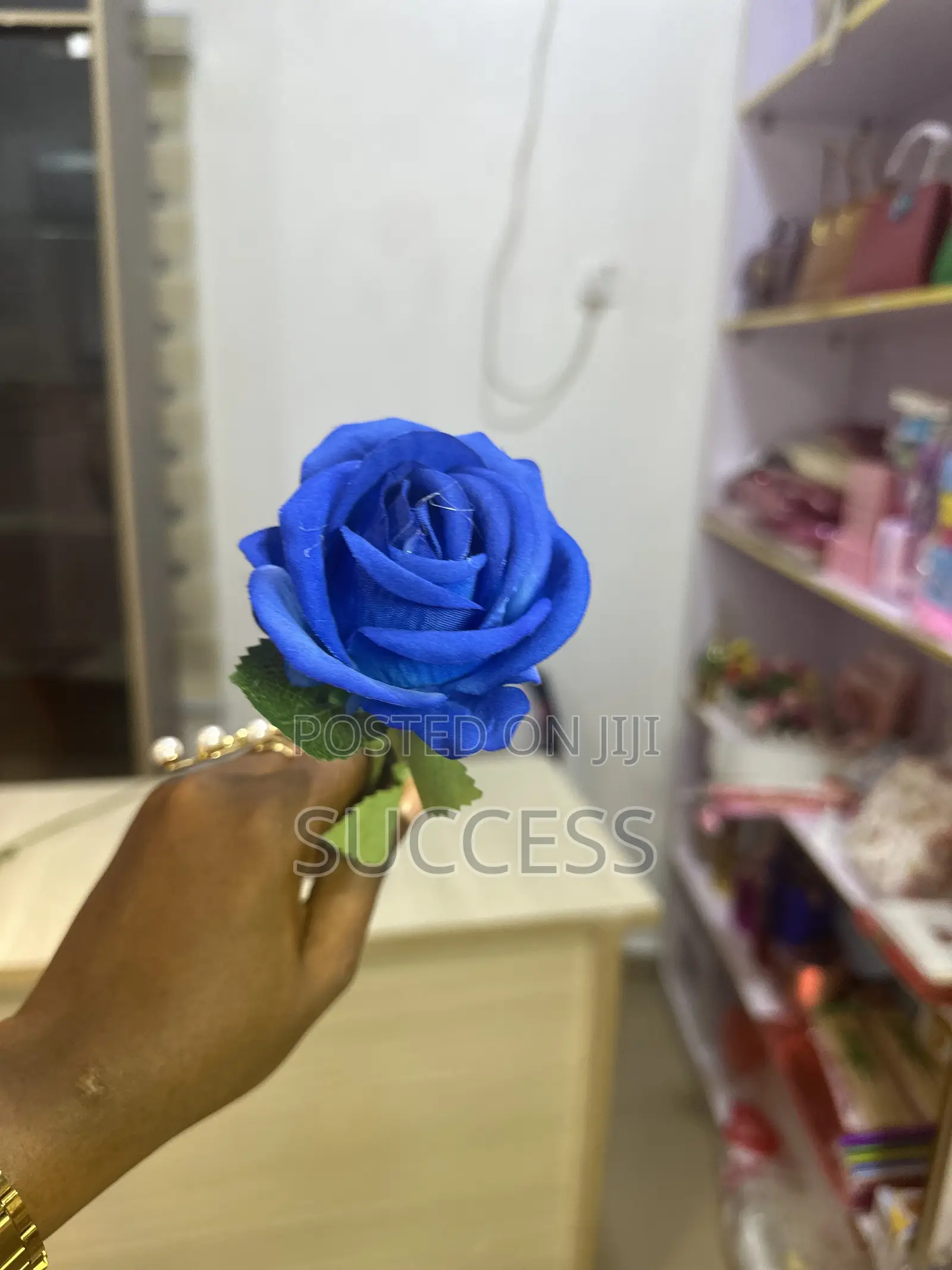 Rose Flowers