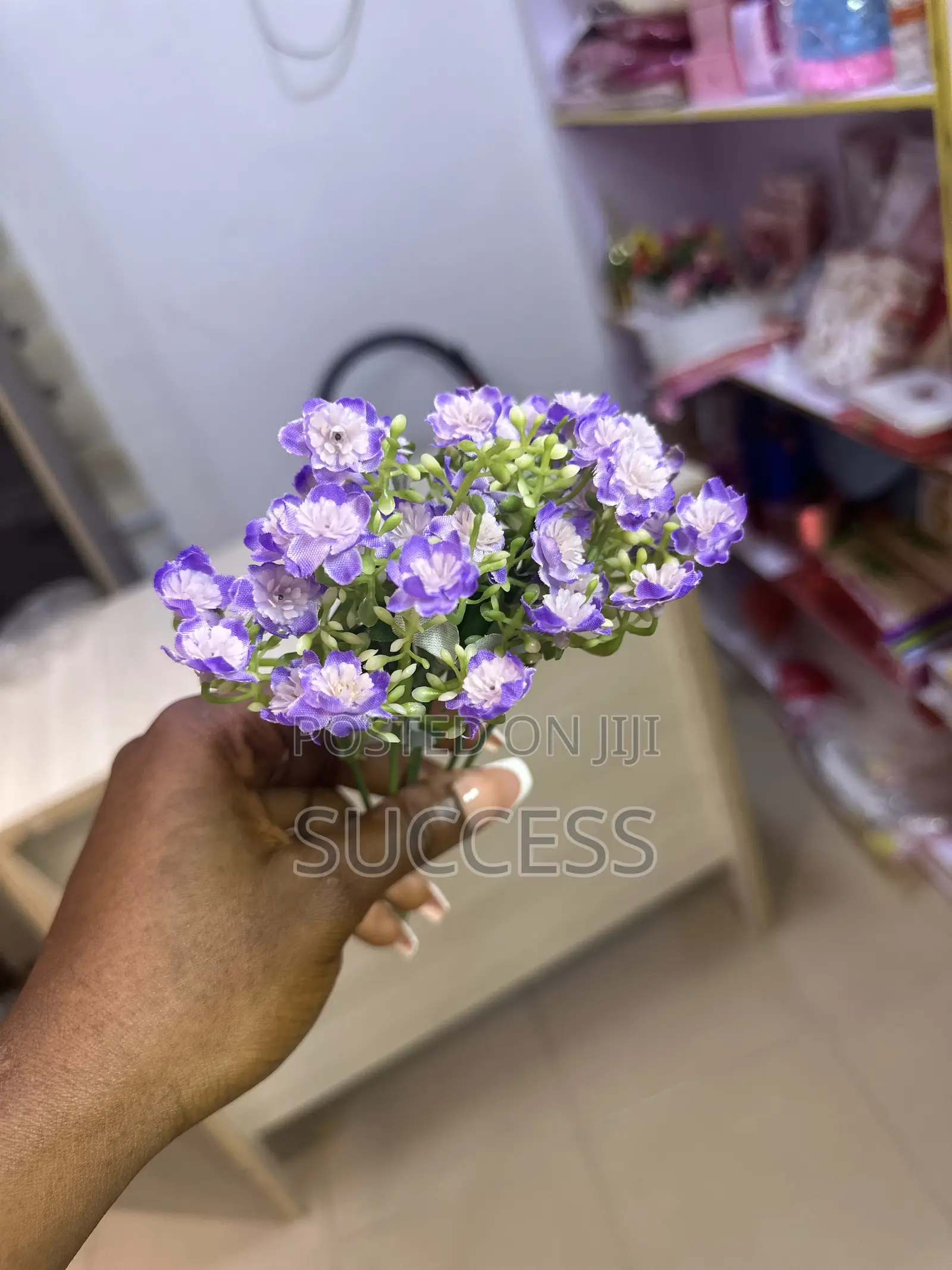 Carnation Flowers