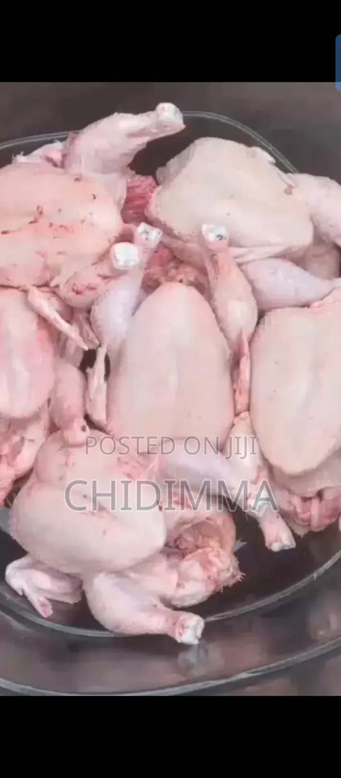 Healthy Broilers