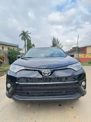 Toyota RAV4 XLE 4dr SUV AWD (2.5L 4cyl 6A) 2018 Black