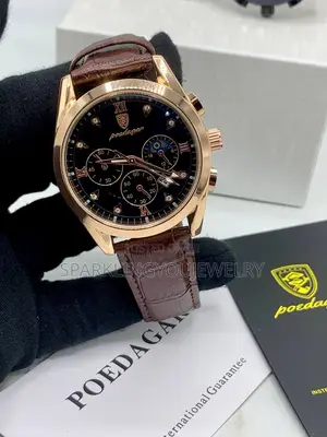Leather Poedagar Watch With Working Chronograph for Men