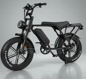 Off-Road Fat Tyre Electric Bicycle 48v23ah Smart Card System