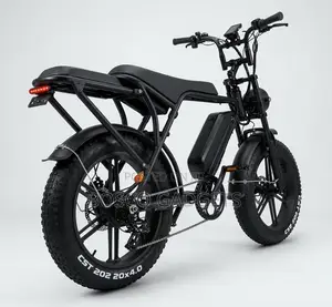 Off-Road Fat Tyre Electric Bicycle 48v23ah Smart Card System