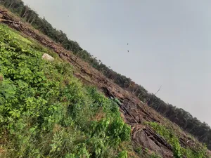 40 Acres of Land for Sale at Ketu Epe Lagos