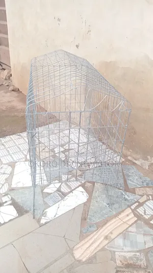 Cages for Exotic Bunnies