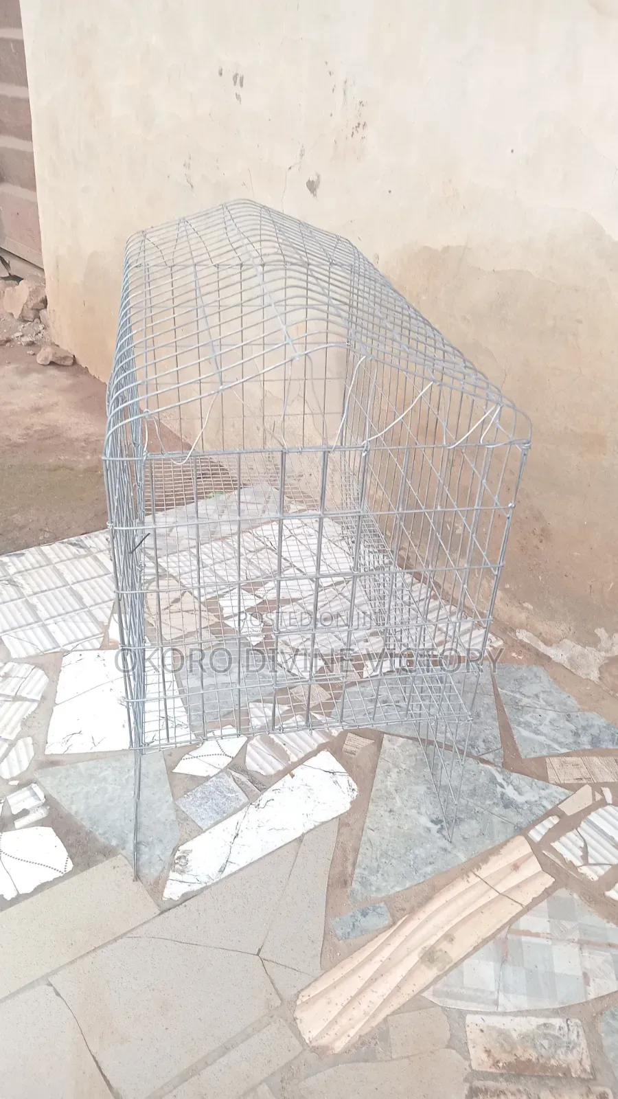 Cages for Exotic Bunnies