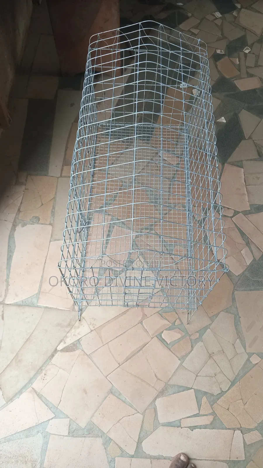 Cages for Exotic Bunnies