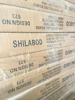 China Suspended Ceiling