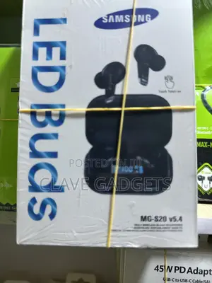 Samsung S20 Earbuds