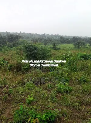 Plots of Land for Sale in Olaukwu Oforola Owerri West