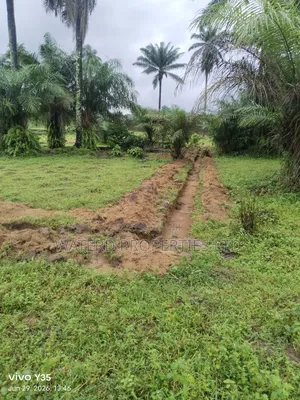 3 Plots of Land. Back of Indoroma