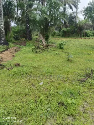 3 Plots of Land. Back of Indoroma