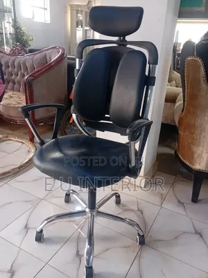 Executive Office Chair/Kidney-Shaped Backrest